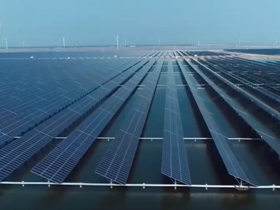 含“绿”量高！2024上半年经济“绿色”成发展关键词