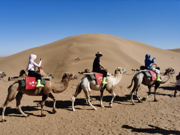 （铸牢共同体 中华一家亲）共同写好宁夏文旅融合发展大文章