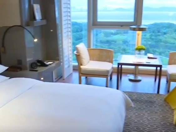 探亲+旅游！粤港澳大湾区暑期人员流动加速 游客大幅增长