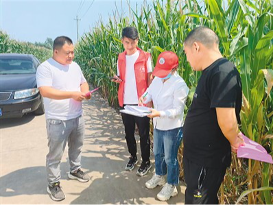 “亚哥可忙嘞！”（河南省虞城县驻村观察）