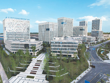 服务贸易跑出“加速度”