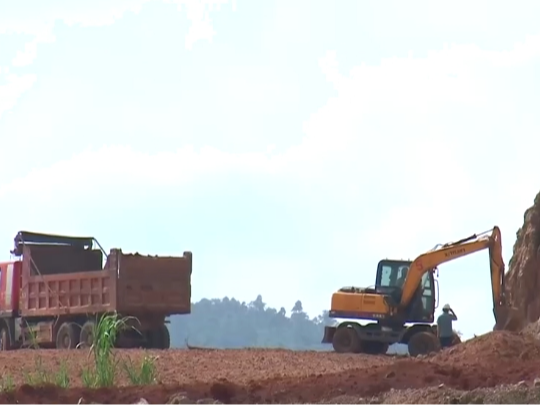 高质量发展调研行 | 石头荒山“蝶变”重焕新生 “两山”故事生动体现