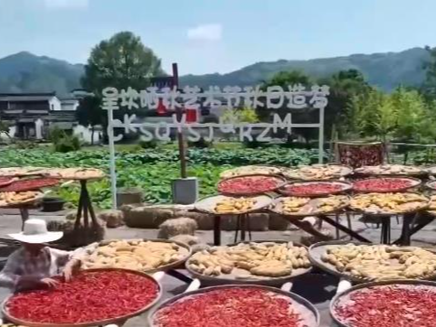 又是一年好“丰”景！五彩斑斓绘出秀美秋收画卷 古村晒秋庆祝五谷丰登