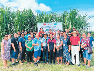 小而美项目增色一带一路工笔画（环球热点）