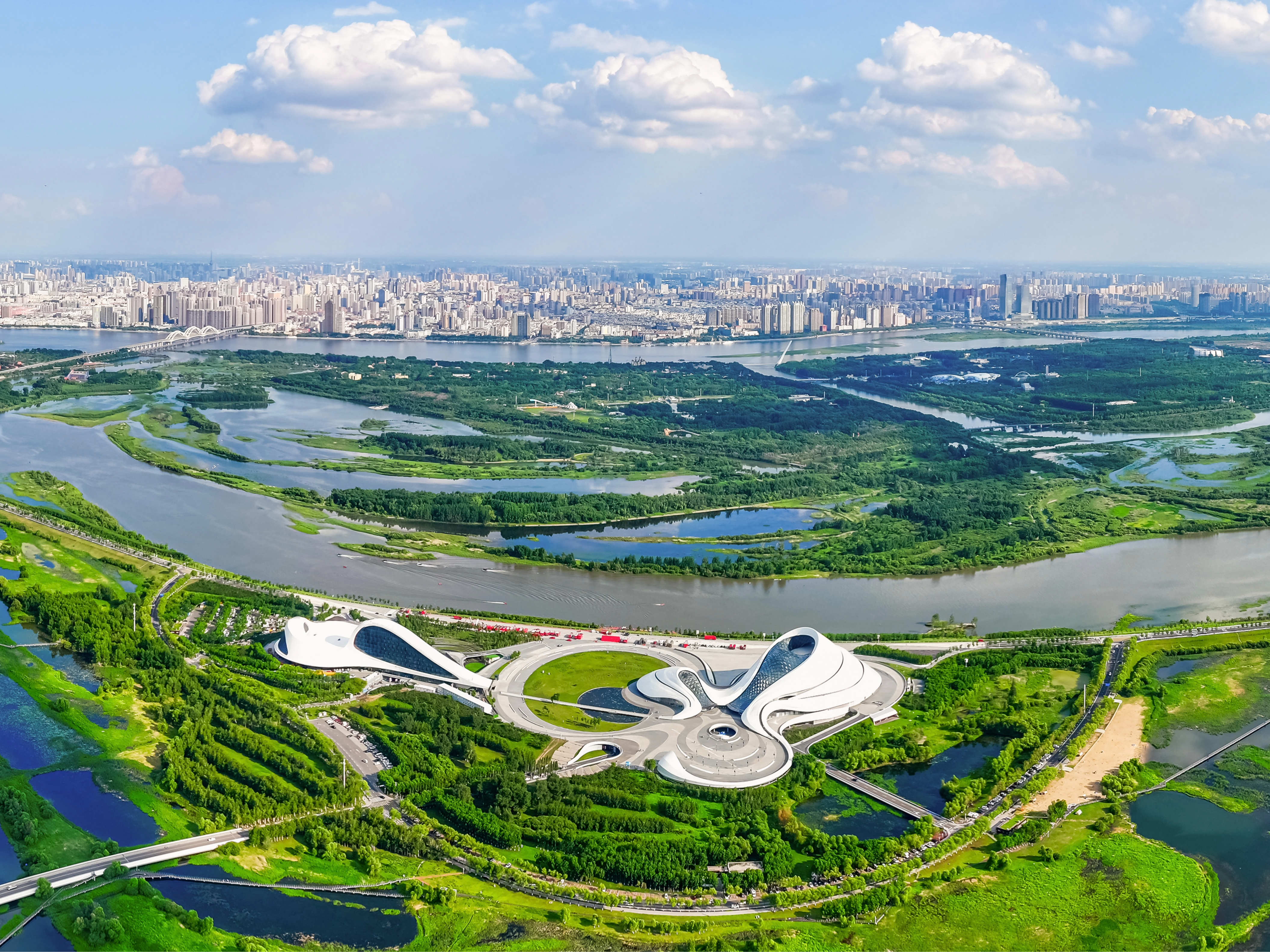 “新”潮涌动太阳岛丨向“新”而行 推进中国式现代化东北实践