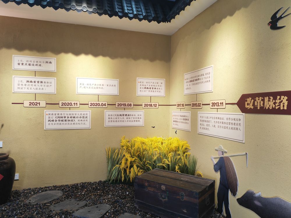 锚定现代化 改革再深化|湖南浏阳：农村集体经营性建设用地入市试点唤醒沉睡资产