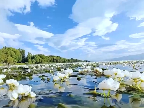 高质量发展调研行 | “颜值”变“产值” 打造“风景生产力”