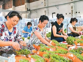 网络零售促进消费平稳增长