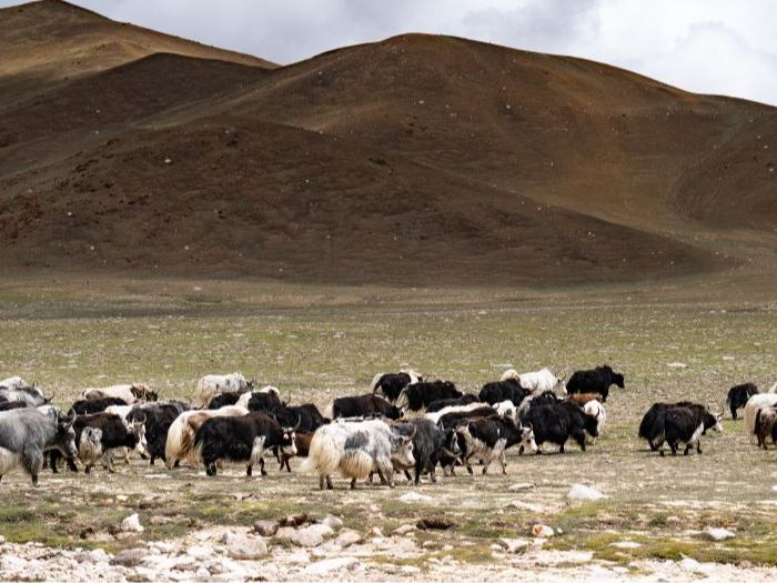 西藏：壮美雅鲁藏布江源