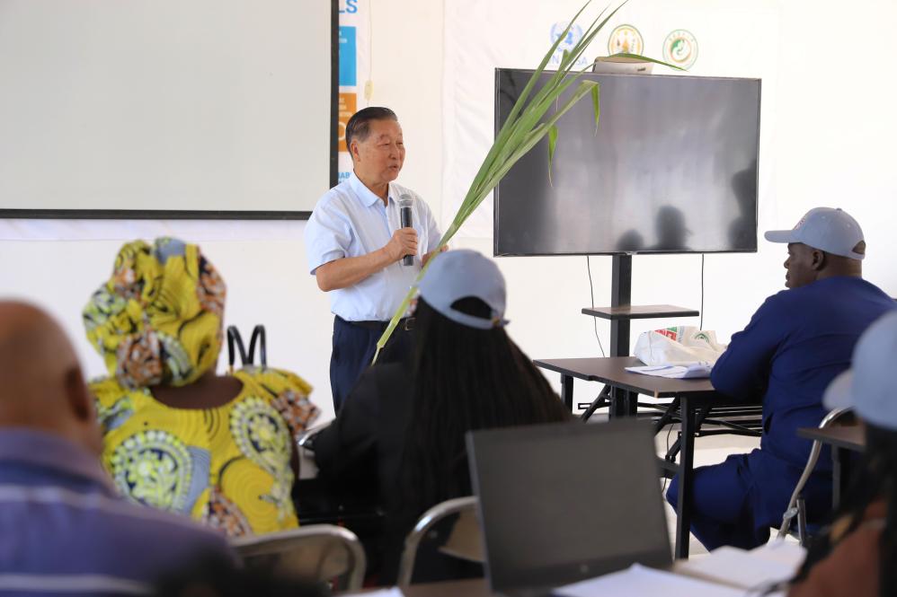 心相近丨“中国草”：送给世界的礼物