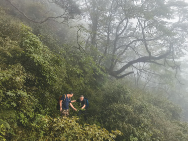 梵净山“冷杉之路”（遗产小道·人与生物圈）