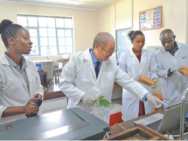 中非农业合作，共绘非洲减贫发展蓝图（新时代中非合作）