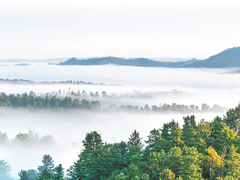 空气“变现” 林海生金（美丽中国·关注生态保护补偿③）