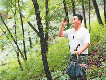 长白山上话人参（道地药材巡礼·吉林篇）