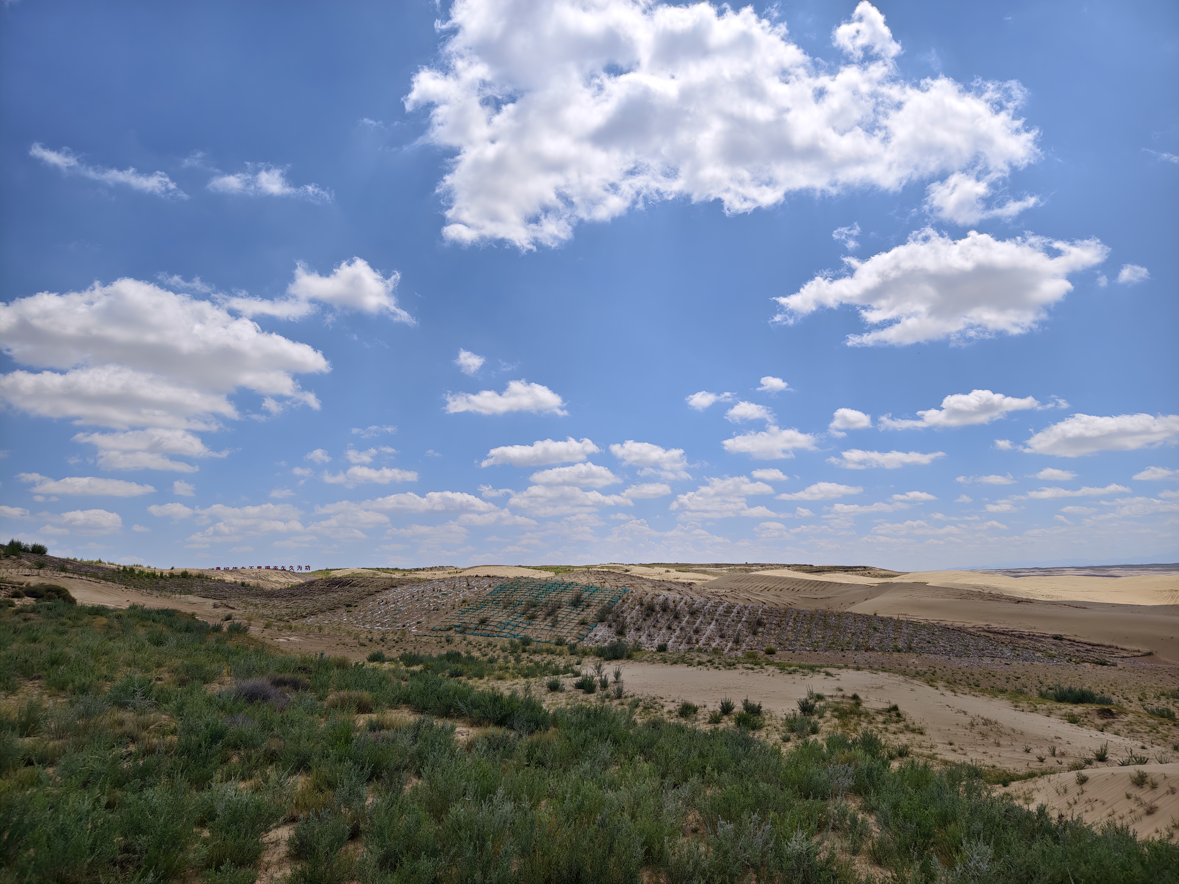 【2024打卡中国最美水源地】看“绿进沙退”荒漠变绿洲 外国网红在沙珠玉感受青海的绿色力量（组图）