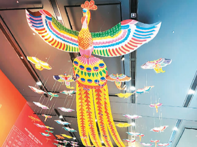 共赏非遗保护“万千气象”