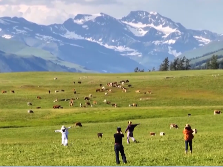 火爆！“你的阿勒泰”，“直飞”航线又上新