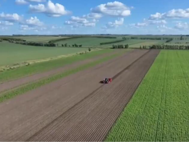 多地农产品“硕果累累”进入收获期 五彩“丰”景绘就富民画卷