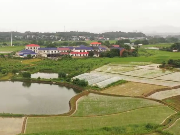 焦点访谈：沃土造良田 闲地“土生金”