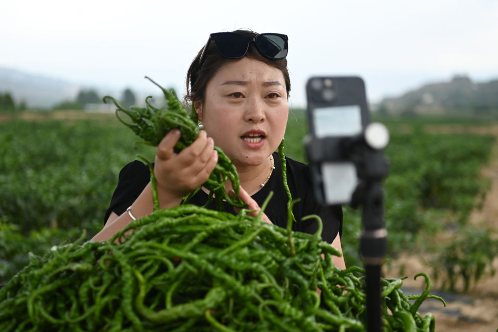 锚定现代化 改革再深化｜记者手记：给区域经济的“火车头”加满油充足电