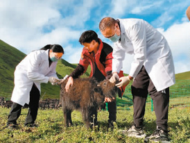 守护共同的呼吸和命运