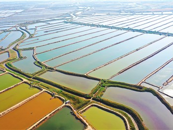 更多平价海鲜“跳”上百姓餐桌