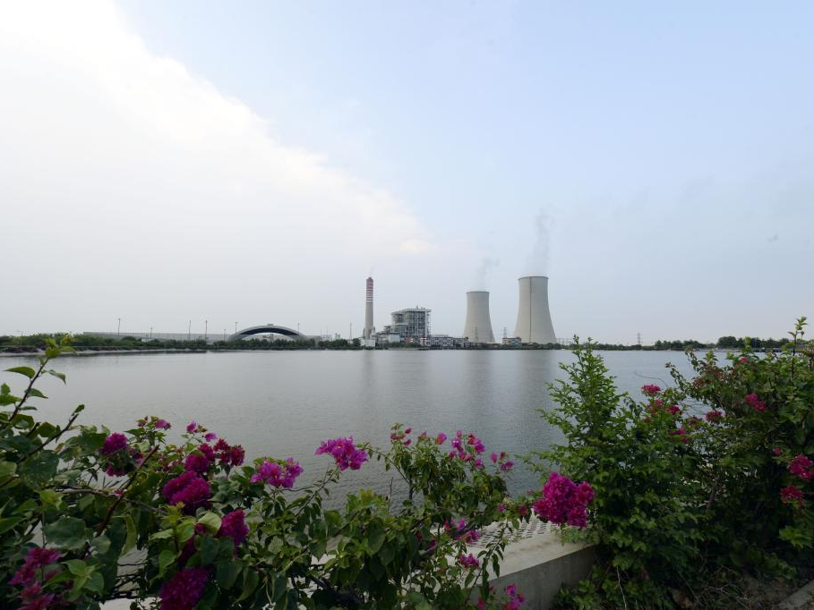 通讯｜中企职业培训助力巴基斯坦青年实现人生精彩