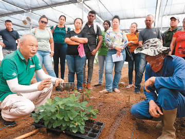 维护全球粮食安全呼唤全球合作（环球热点）