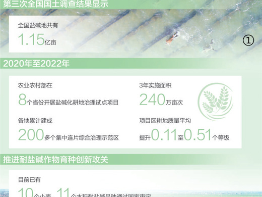 稻蟹共生 一田双收（构建多元化食物供给体系）