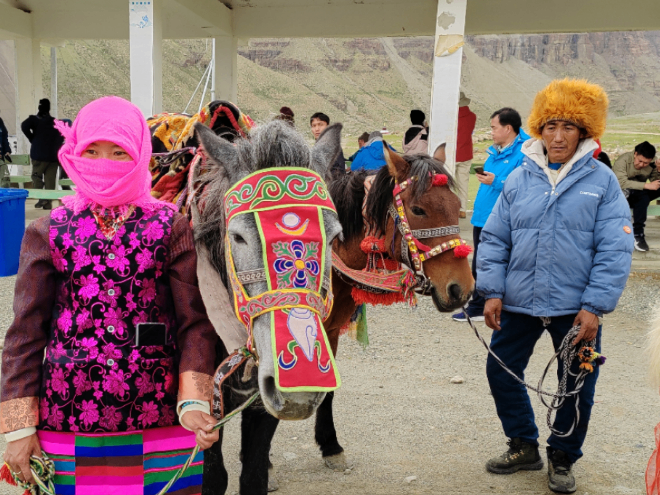 雪域高原焕新貌｜冈仁波齐山脚下，这座村庄如何吃上“旅游饭”？