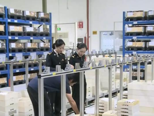 我国外贸经营主体活力足 外资企业进出口回升向好