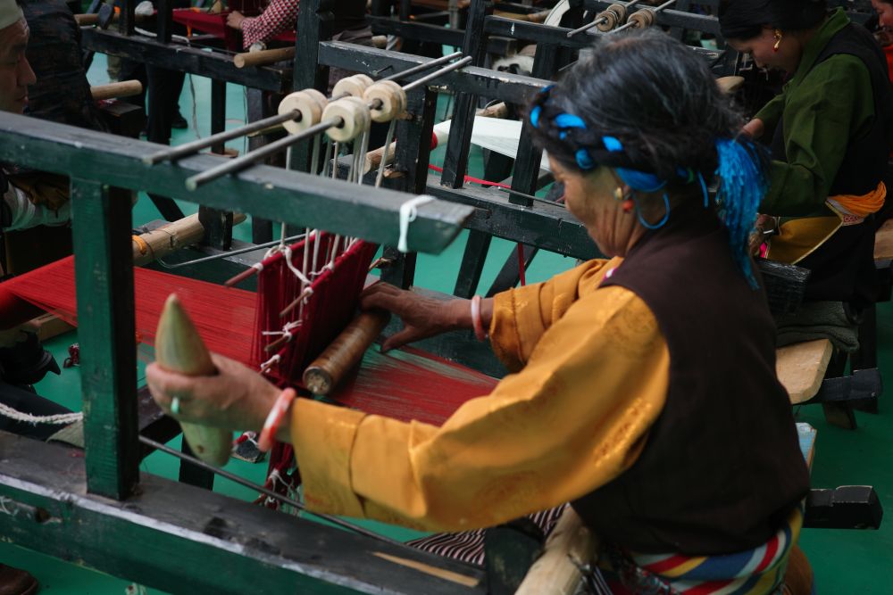 织梦高原：共富新篇章