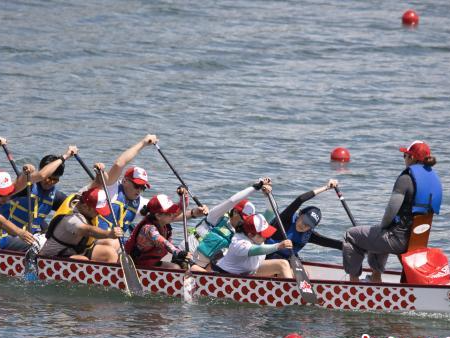 加拿大华侨华人“回家”赛龙舟