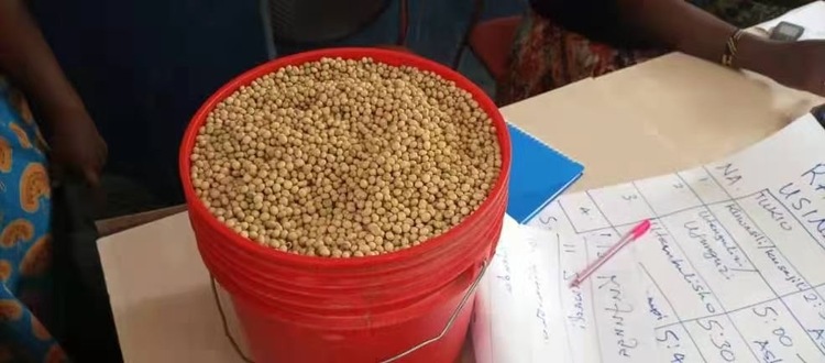 小豆子大营养 坦桑尼亚民众爱上“中国饮料”