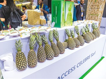 中国市场迎来更多非洲农产品（环球热点）