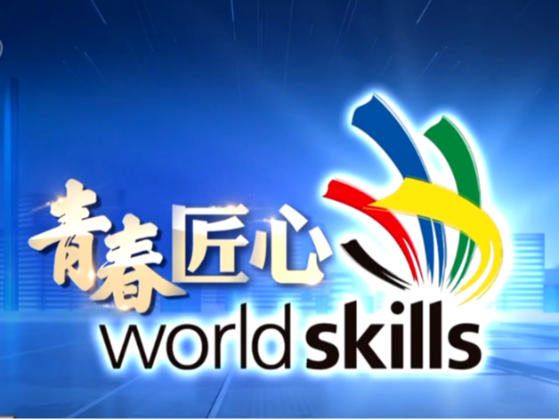 一举夺金！中国青年在世界技能赛场书写冠军答卷