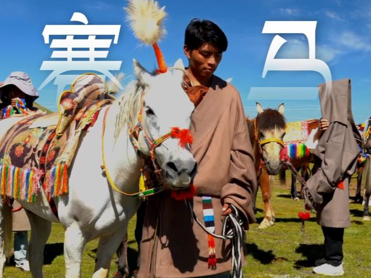 铸牢共同体 中华一家亲｜羌塘草原上的赛马盛会