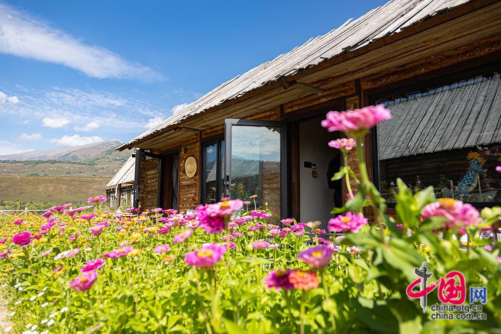 追风逐日看新疆｜邂逅“诗和远方” 看阿勒泰初秋好风光