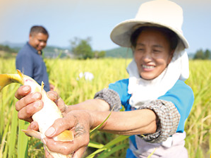 共话丰收 同享喜悦（深度观察·喜迎中国农民丰收节特别报道）