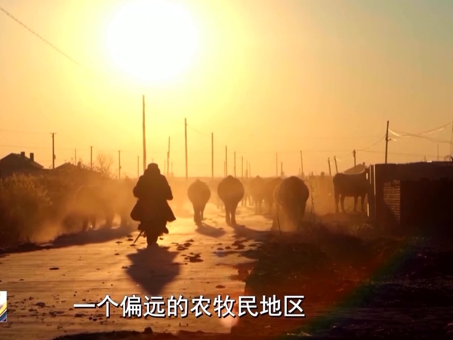 共和国故事丨从“开着火车去供电”到绿电点亮千万家