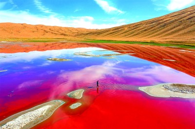 【文化中国行】大漠沙如金 碧波水连天