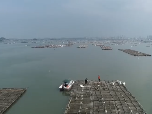 秋收正当时 特色农业解锁乡村振兴“密码”