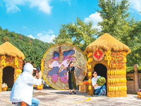 丰收时节游乡村