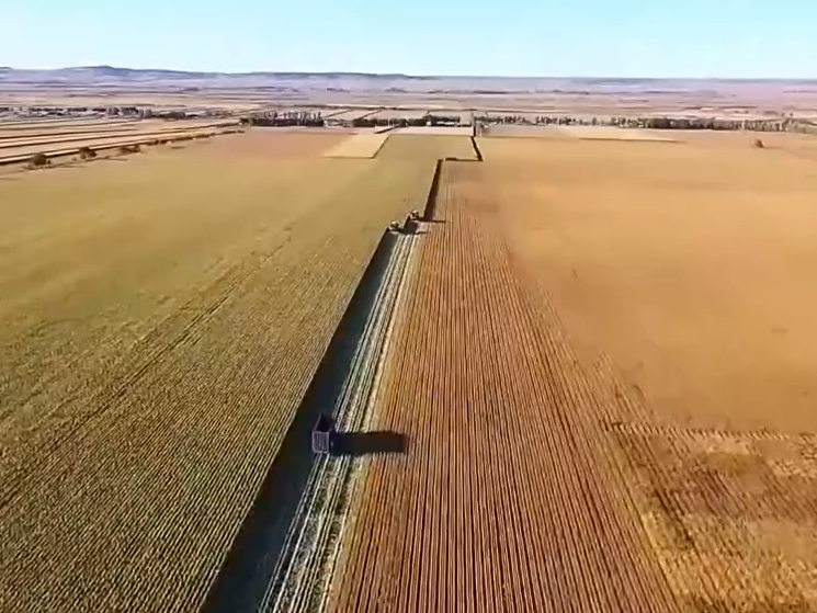 秋天，一幅五彩斑斓的丰收画卷
