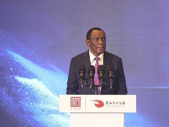 南非驻华大使：与中国合作，实现“全球南方”国家共赢