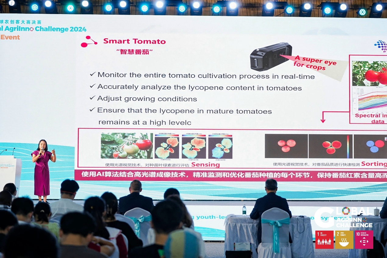 “2024年全球农创客大赛”决赛结果出炉，中国“智慧番茄”项目团队获铜奖