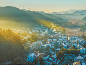 数据见证75年伟大成就（大数据观察·特别报道）