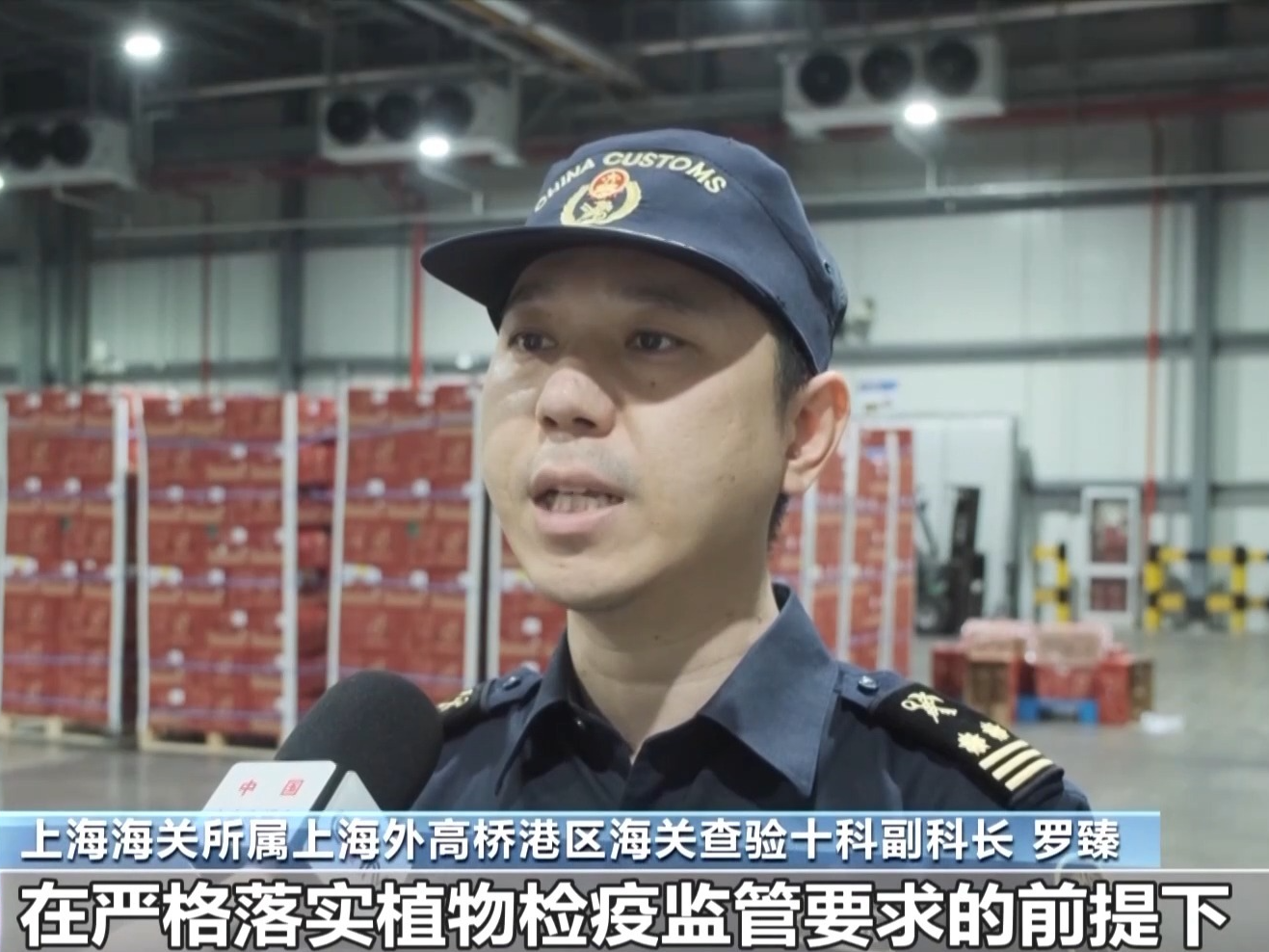 漂洋过海的甜蜜！非洲水果走上中国消费者餐桌