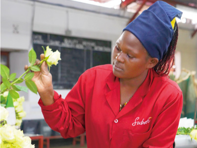 “为非洲实现现代化创造机遇”