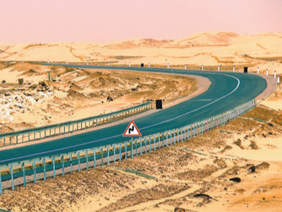 “引领全球南方加强团结合作”